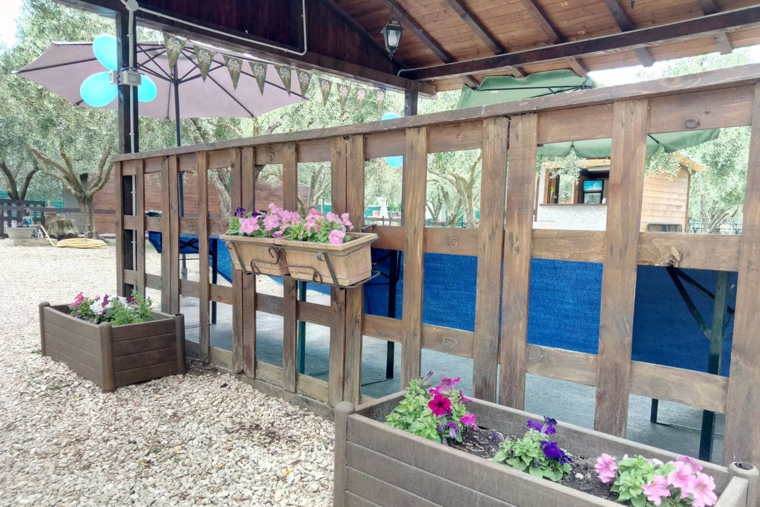 Casadolcecasalatina Bed and Breakfast Εξωτερικό φωτογραφία